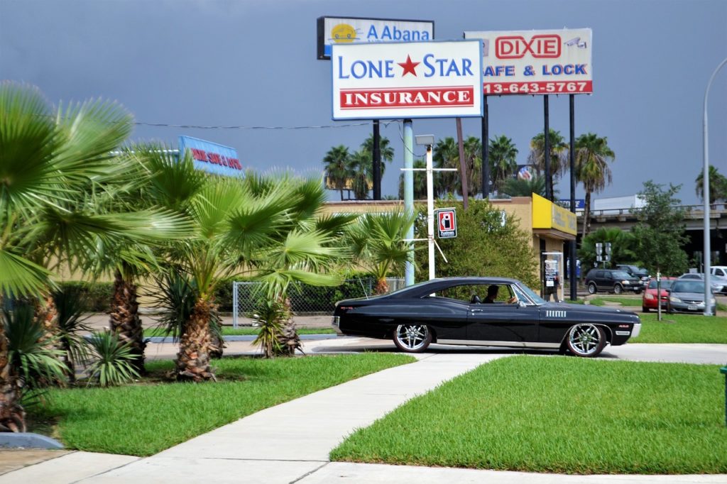 classic car and palm trees, ford, mustang-2814781.jpg